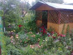 улица Самариной 55