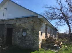 Центральна