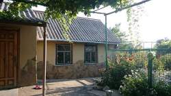 Крылова 79/1