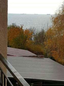 Совиньон