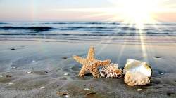 . Продам отель в Одессе у моря, Аркадия, 1000 м кв, 10 номеров