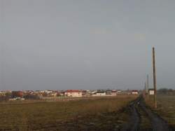 Виноградарь