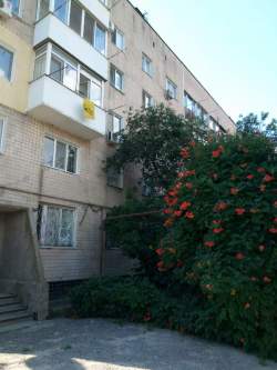 39 линия