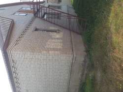 Полевая