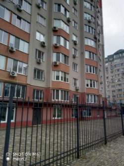Королева