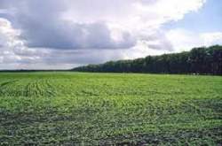 Генерала Петрова