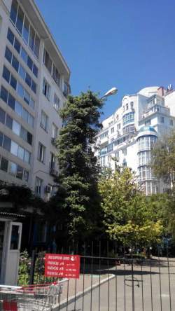 Люстдорфская дорога