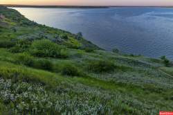Солнечная
