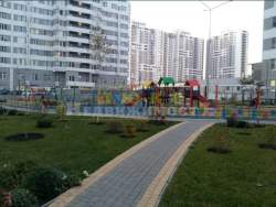 Березовая