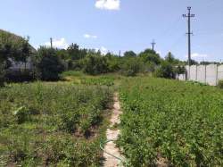 3-комнатная Продажа проспект Соборный, 148