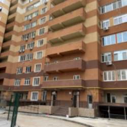 Зоопарковая/говорова