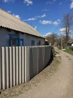 Живописная
