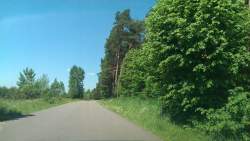 Козлын