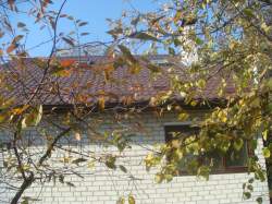 полевая, 12