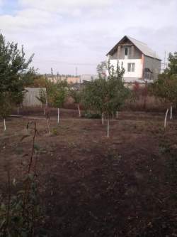 Авангард 2