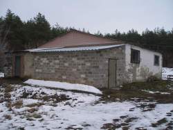 циркуны