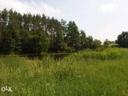 с.Лесное