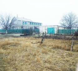 моложная 